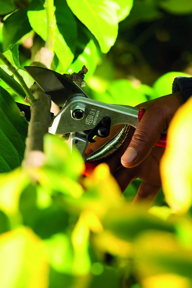 Felco 31 Pruning Shear, Anvil Style, Swiss Made, High Performance