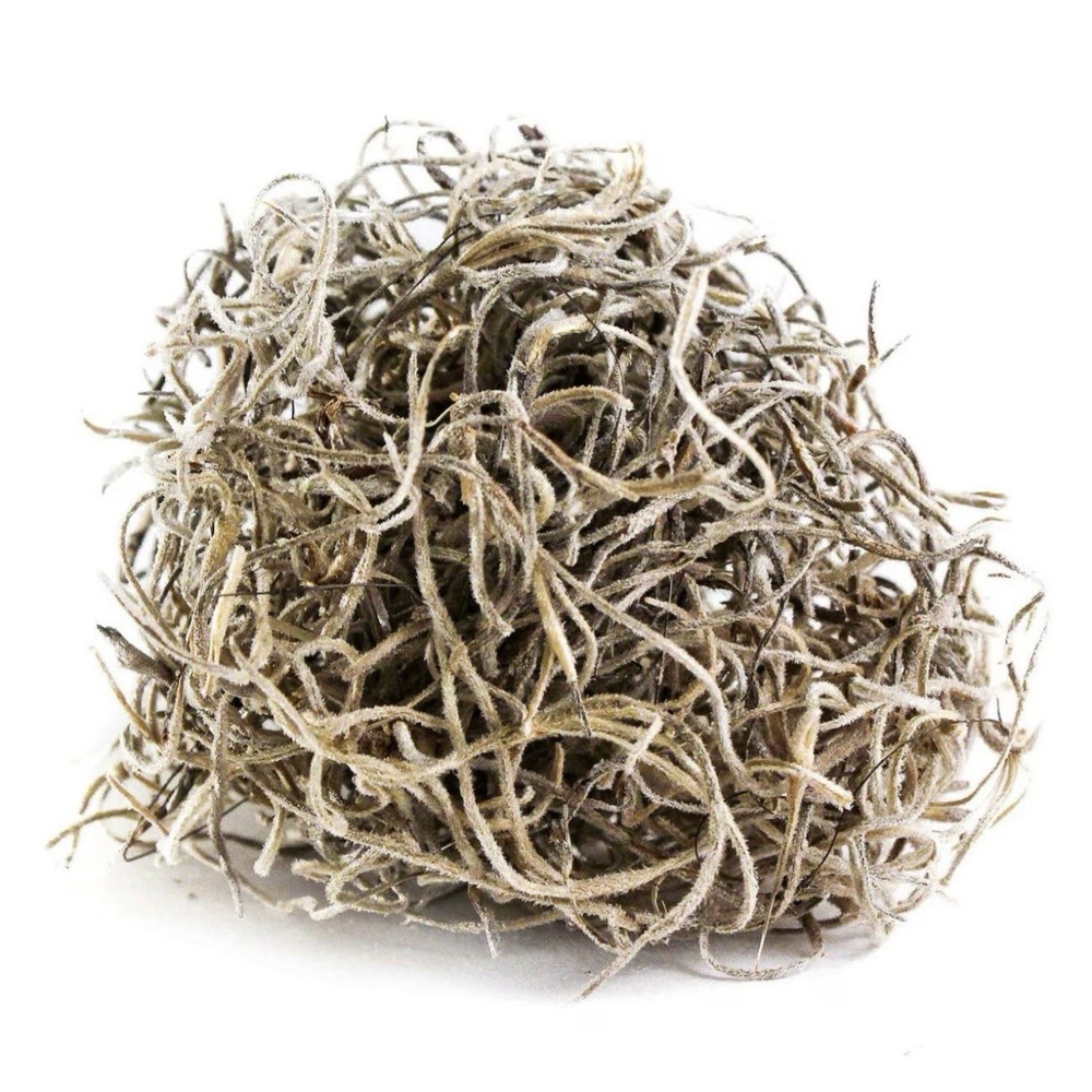 Galapagos Terrarium Starter Kit, Arid