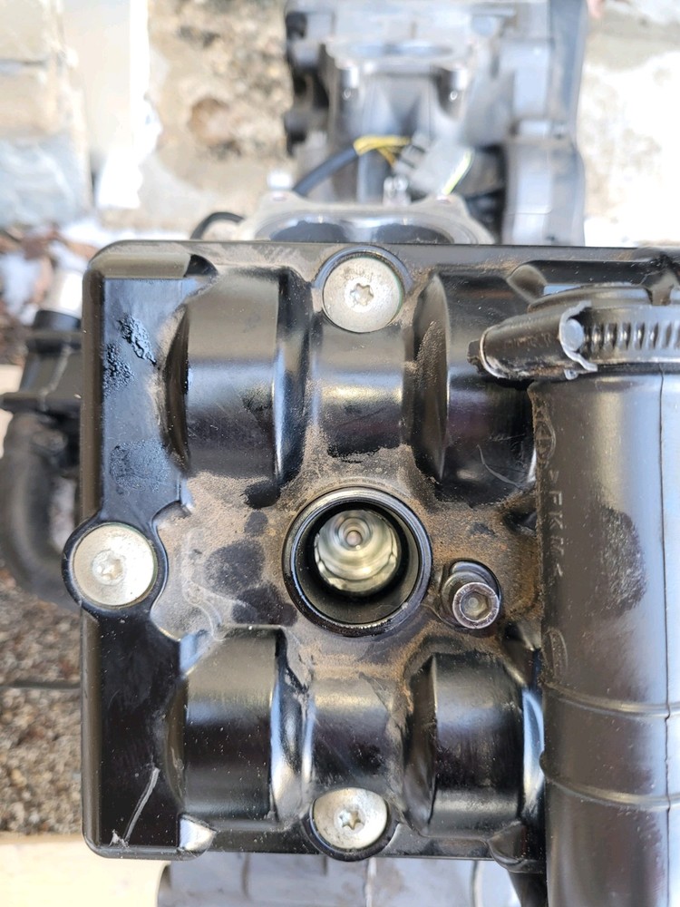 Ducati Diavel 2012 Engine Testastretta 11