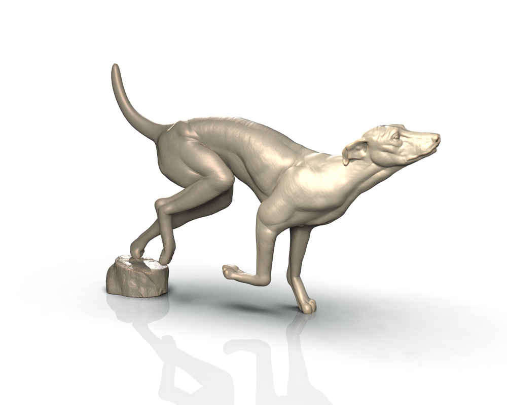 Greyhound | Animal 3 | 3dIPStudios | D&D Roleplaying Miniature 32mm