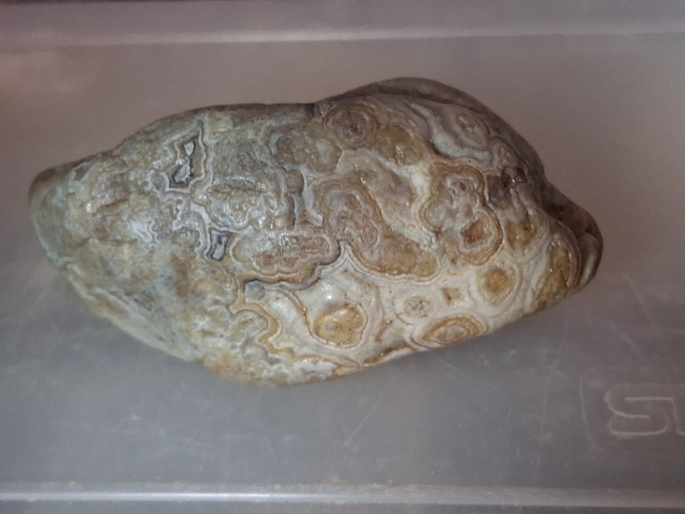 Nebraska Fairburn Agate