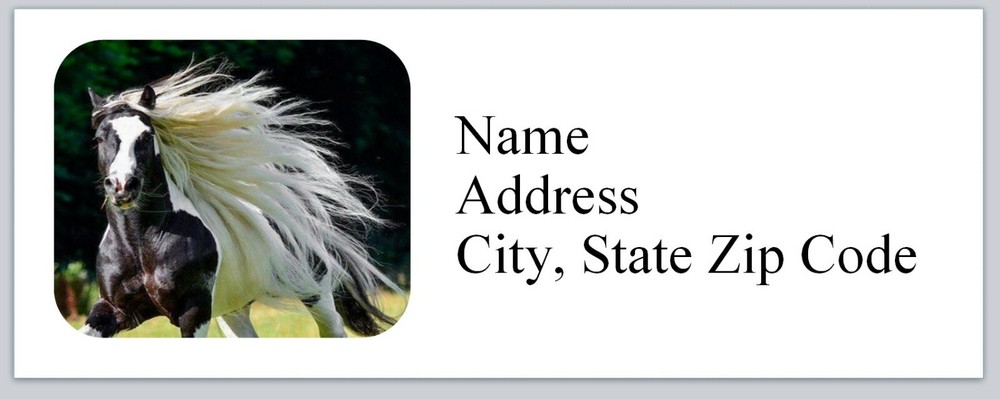 Personalized address labels Horse  (h 13)