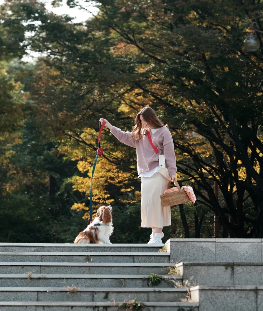 Dog Leash Boondog Original No-Pull Reflective Durable Nylon White | Small Large