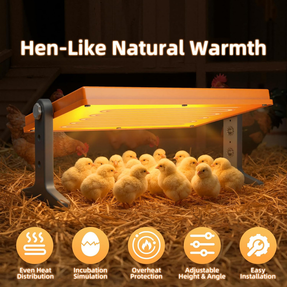 Chick Brooder Heater Plate – 12" X 8" Adjustable Height & Temperature Poultry Wa