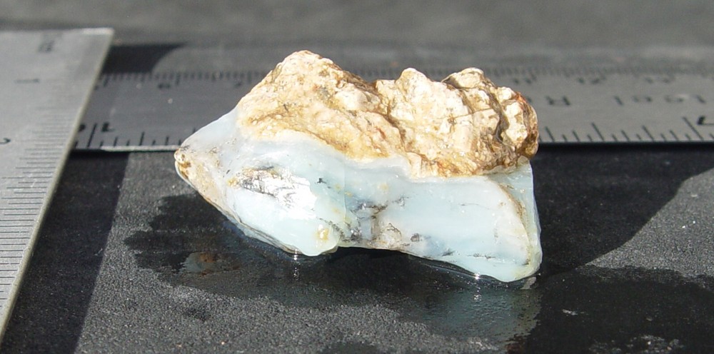 Andean Blue Dendritic Opal Rough T1184