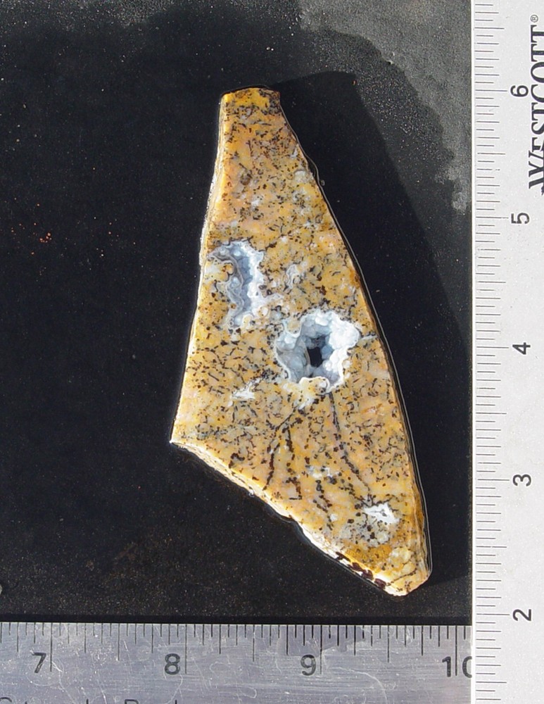 Cheetah Agate Lapidary Slab                    T988