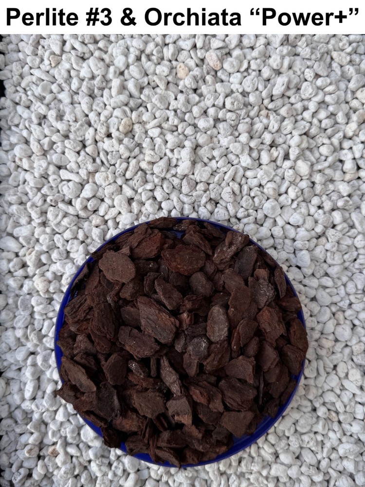 Chunky Perlite #3 - TRIPLE GRADED - No Dust or Smaller Particles