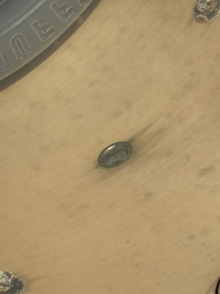 Tama Superstar Hyperdrive 12” Tom Drum Trans Blue Worn