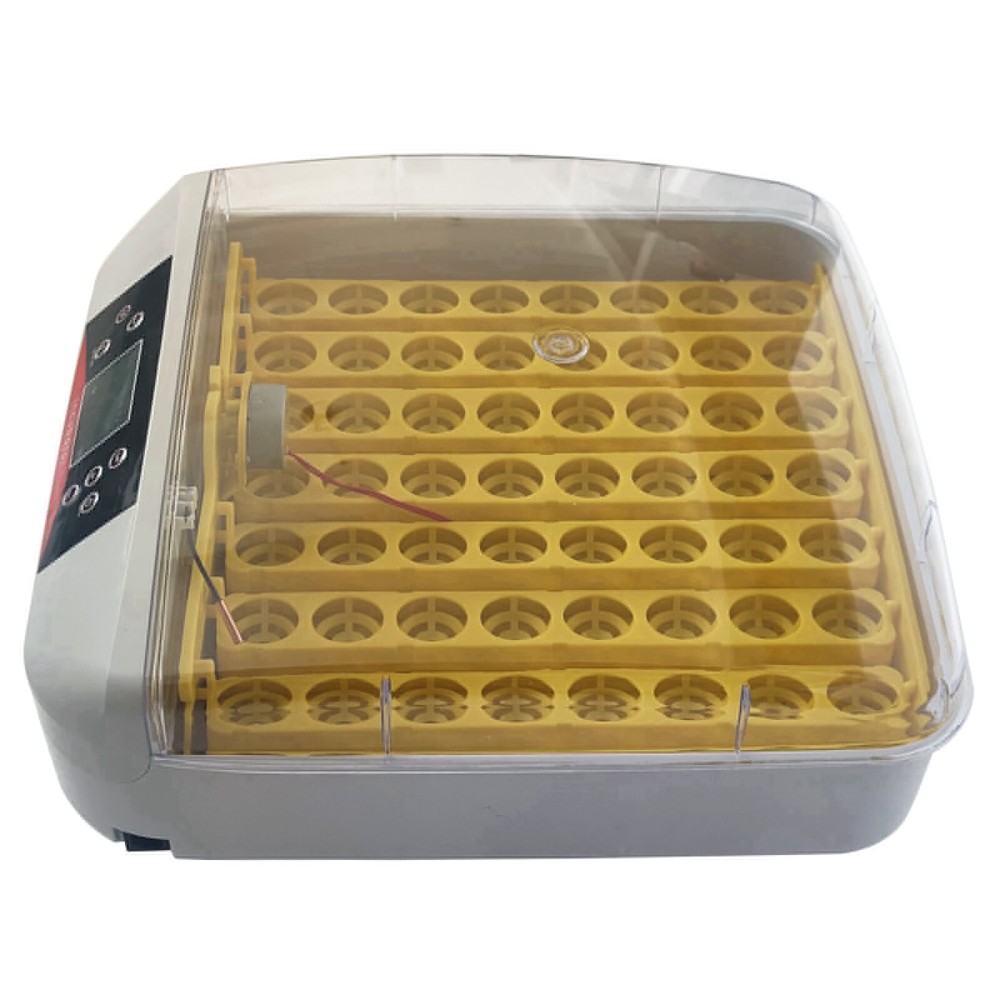 110V Household Egg Incubator 56 Eggs LED Light