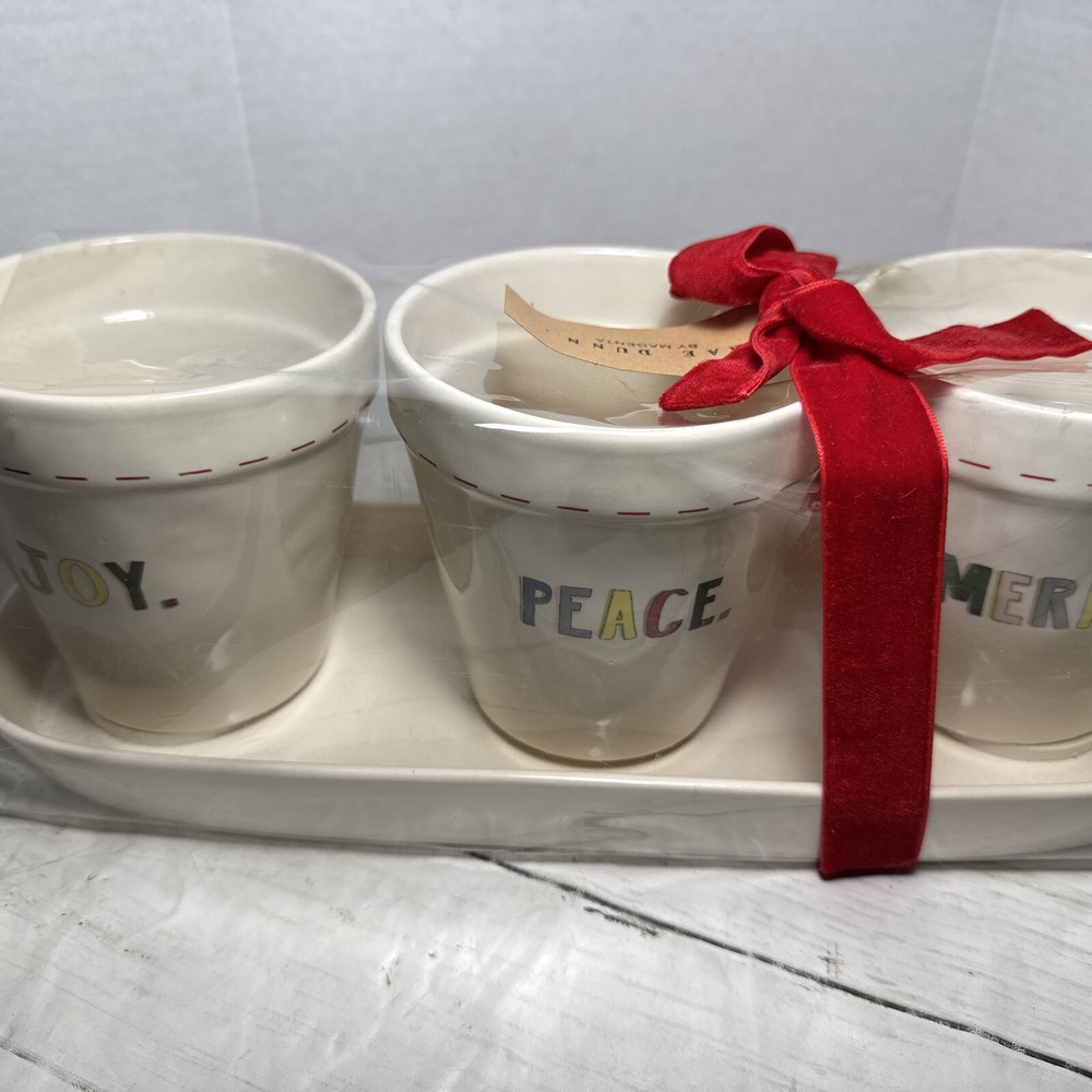Rae Dunn Joy Peace & Merry Planter Set