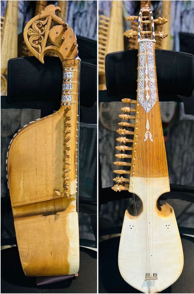 Traditional Wooden Robab String Instrument