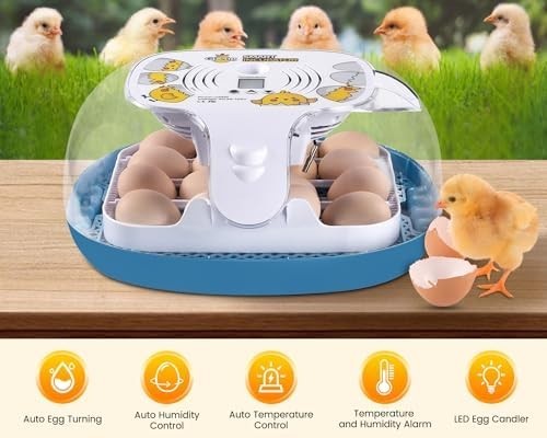 Incubators for Hatching Eggs, Egg Incubator with Automatic Egg Turning and Humid