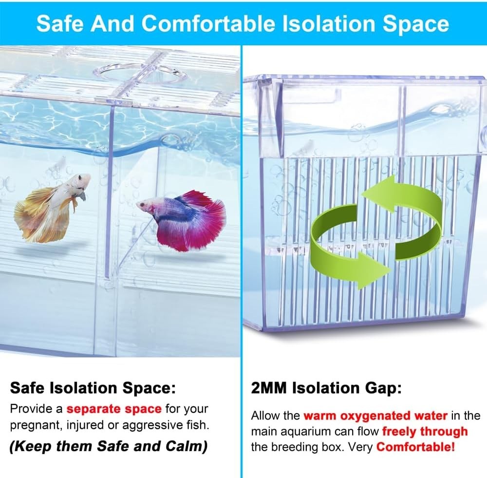 Fish Breeding Box Aquarium Holding Tank Transparent Fish Isolation Box Medium