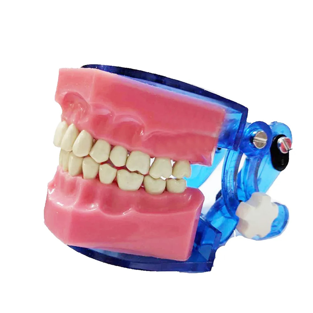 API Jaw Set And Teeth B-561 Durable Plastic Replaceable