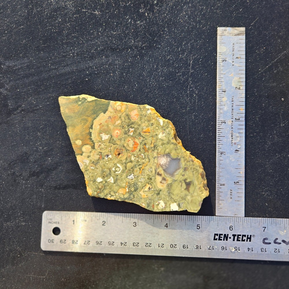 Rainforest Jasper slab