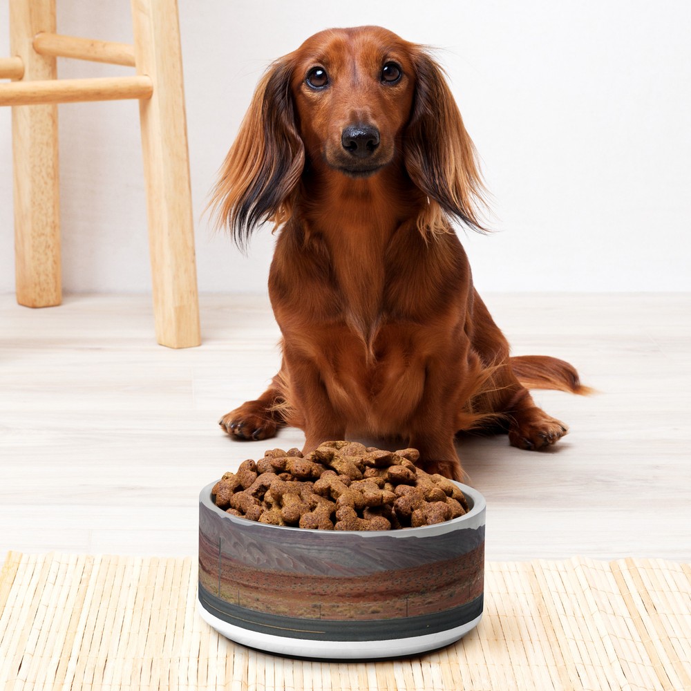 Pet bowl