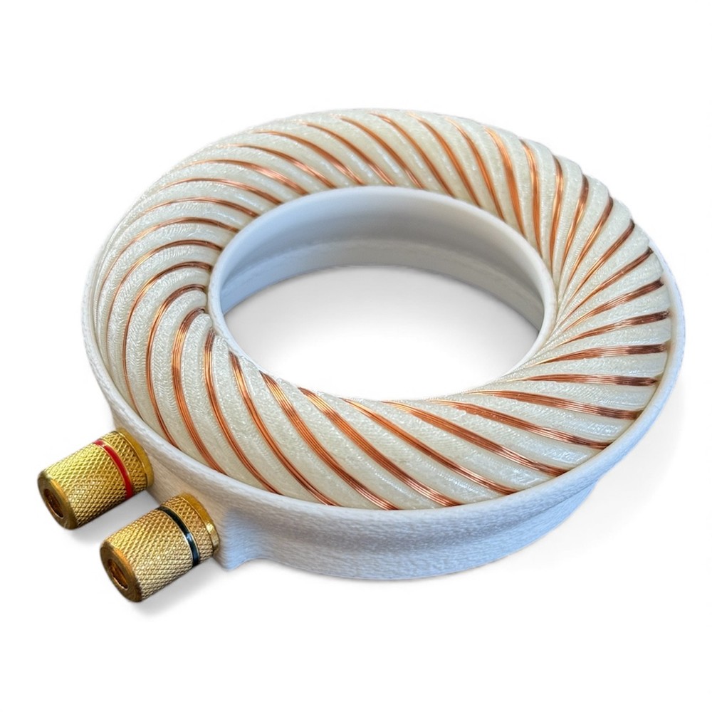 Rodin coil Scalar Wave toroidal field generator module