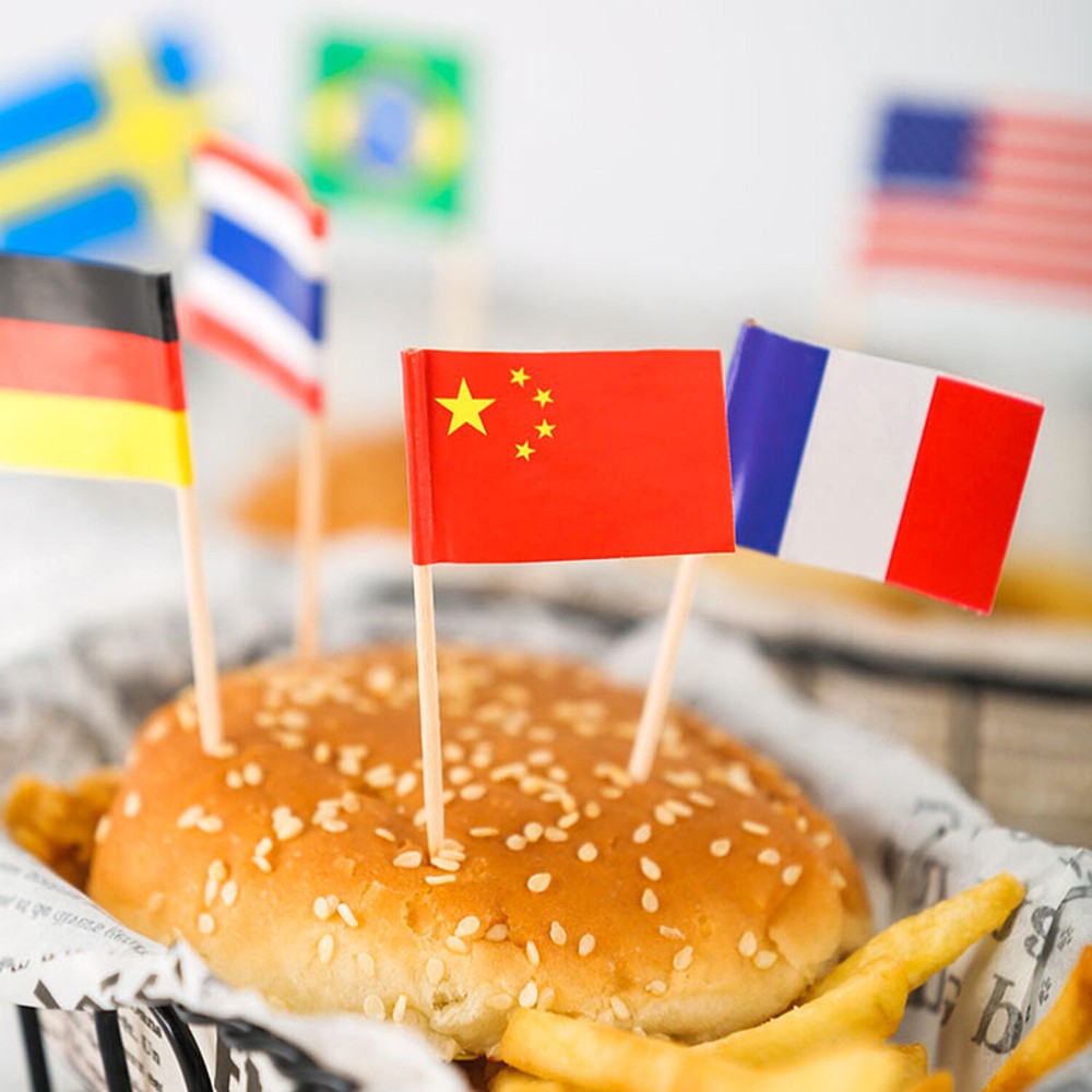 Anley Assorted 100 Different Countries Toothpick Flag Double Sided & Smooth Pick