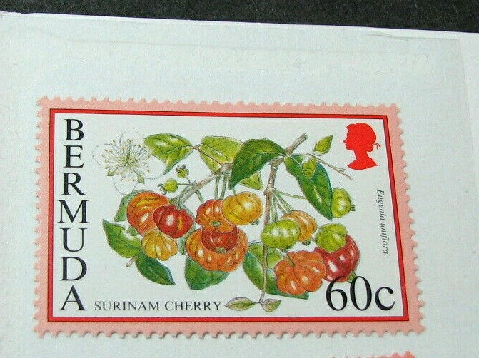 Bermuda Stamp Scott# 677 Surinam Cherry 1994-95 MNH  H218