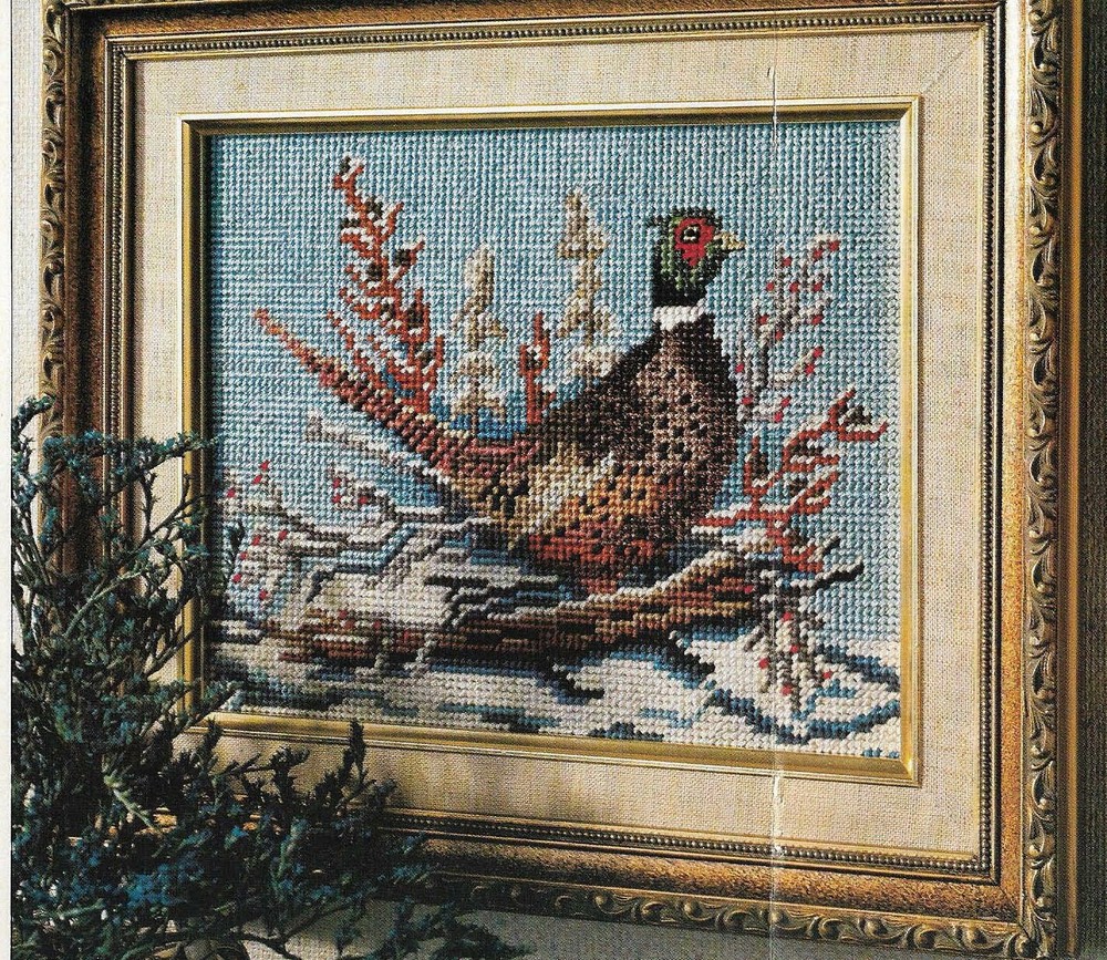 RINGNECK PHEASANT PICTURE DIGEST SIZE PLASTIC CANVAS PATTERN INSTRUCTIONS