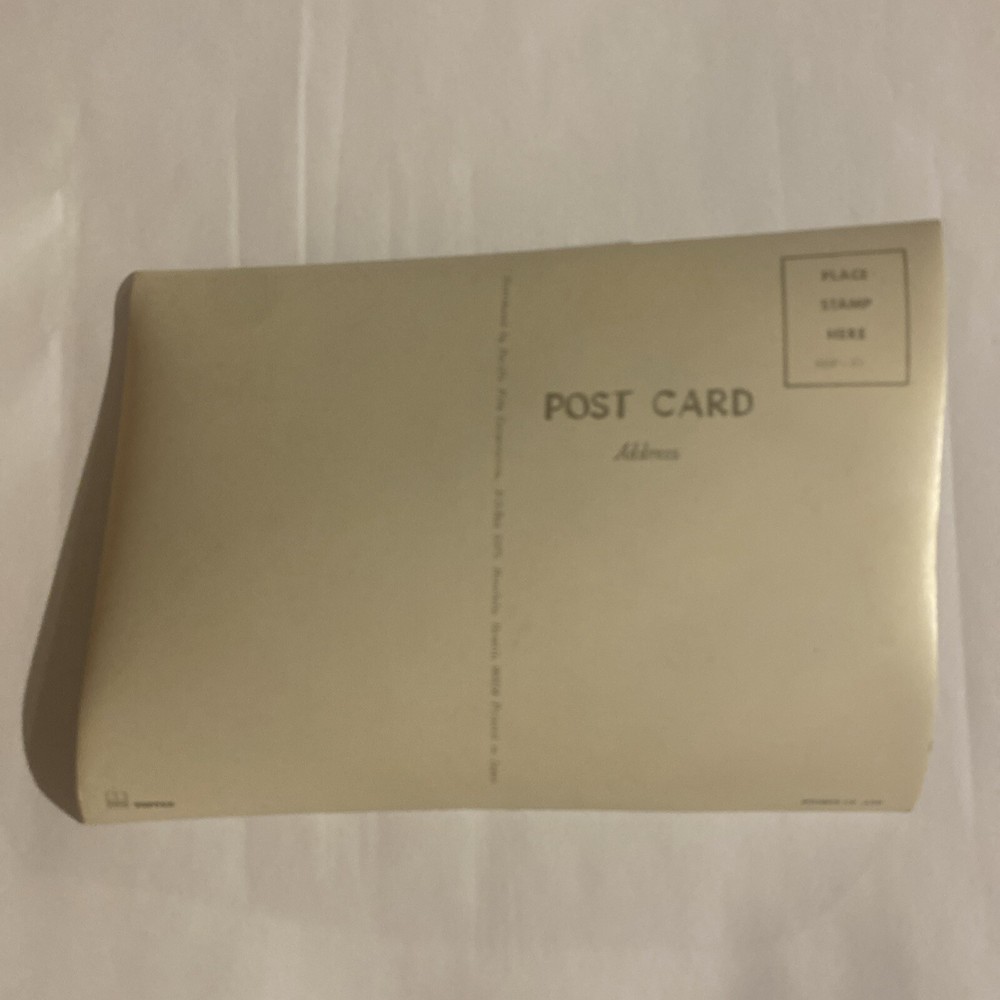 Vintage 3D Lenticular Surfing Postcard