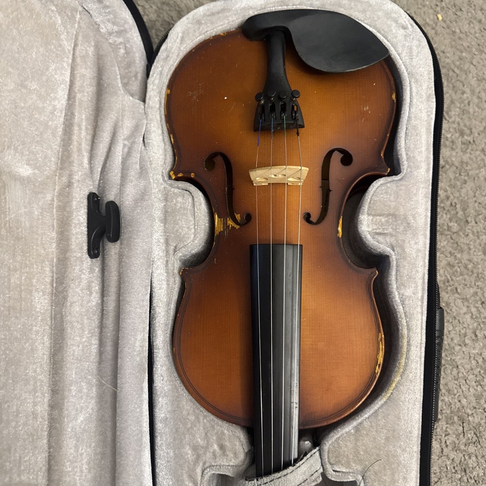 Violin In Case Instrument Mendini
