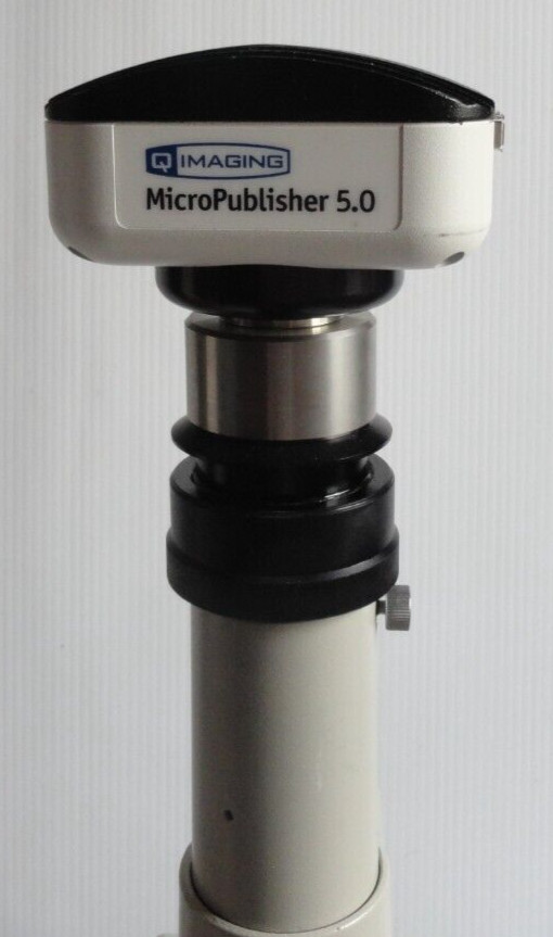 Nikon Optiphot Microscope