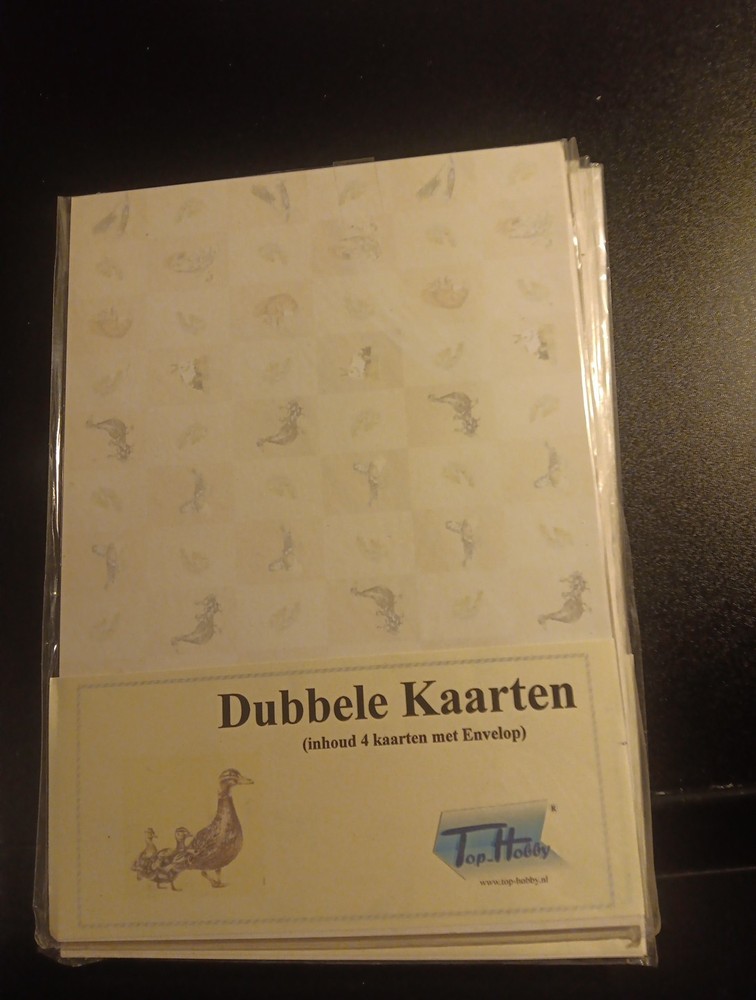 4 DOUBLE CARDS WITH ENVELOP NEW 21x15 CM (Q)