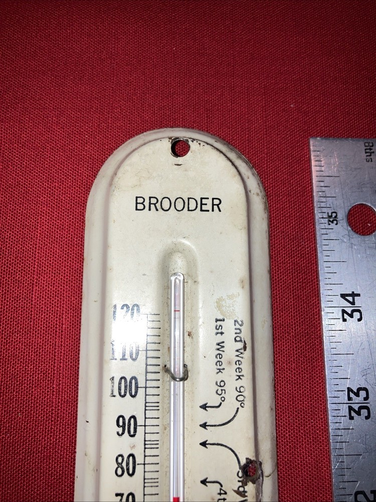 Vintage Metal Brooder Thermometer Made In U.S.A Incubator Thermometer