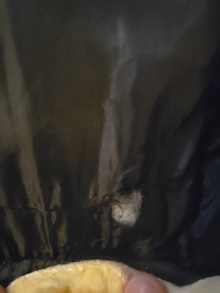 horse blanket 78
