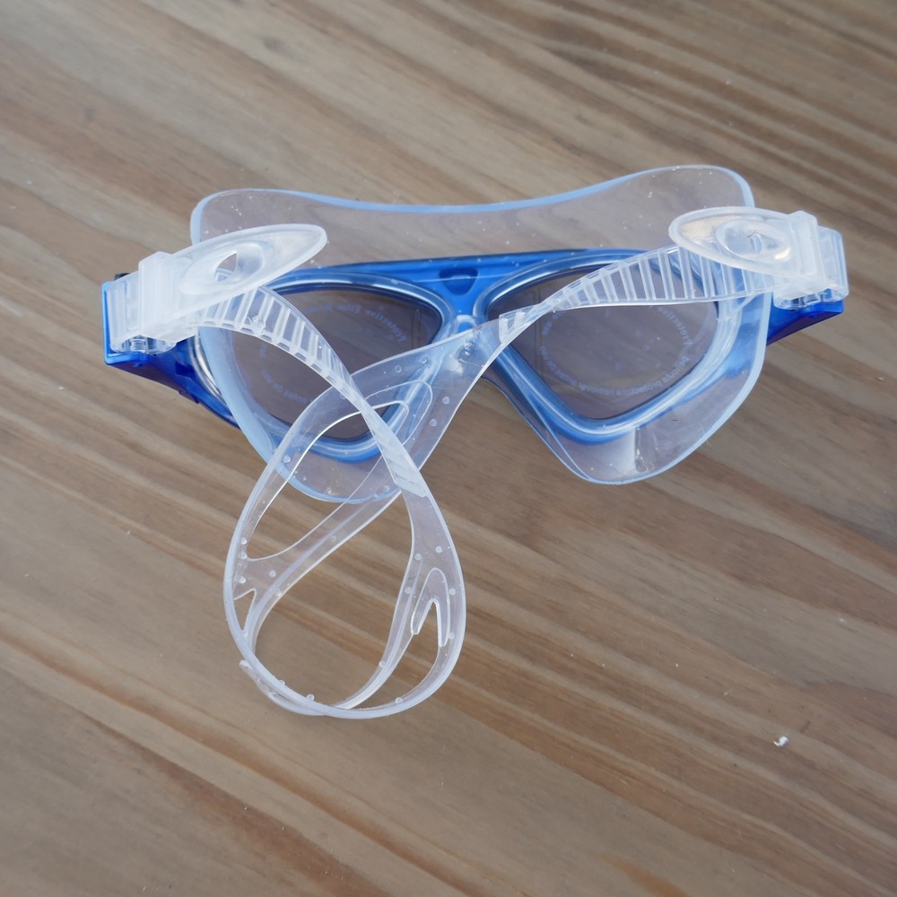 Outdoor Master Goggles Blue And Clear With Case
