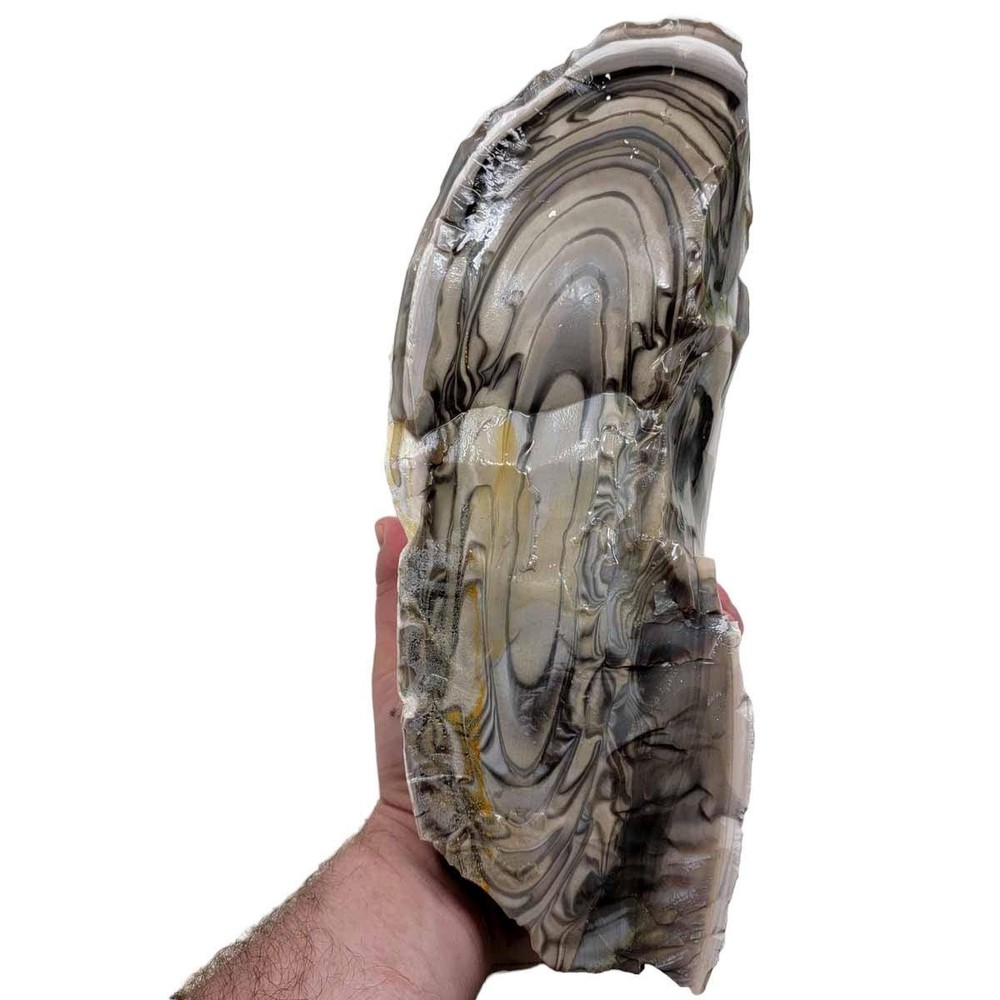 RARE Polish Flint Orbicular Rough Chunk!