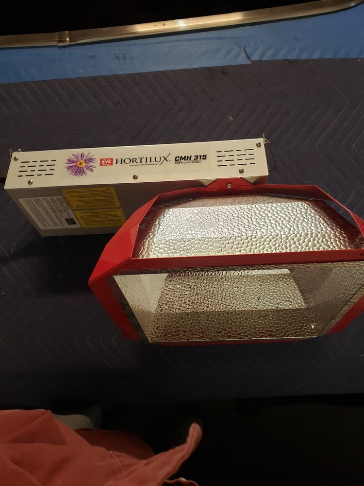 EYE Hortilux CMH 315