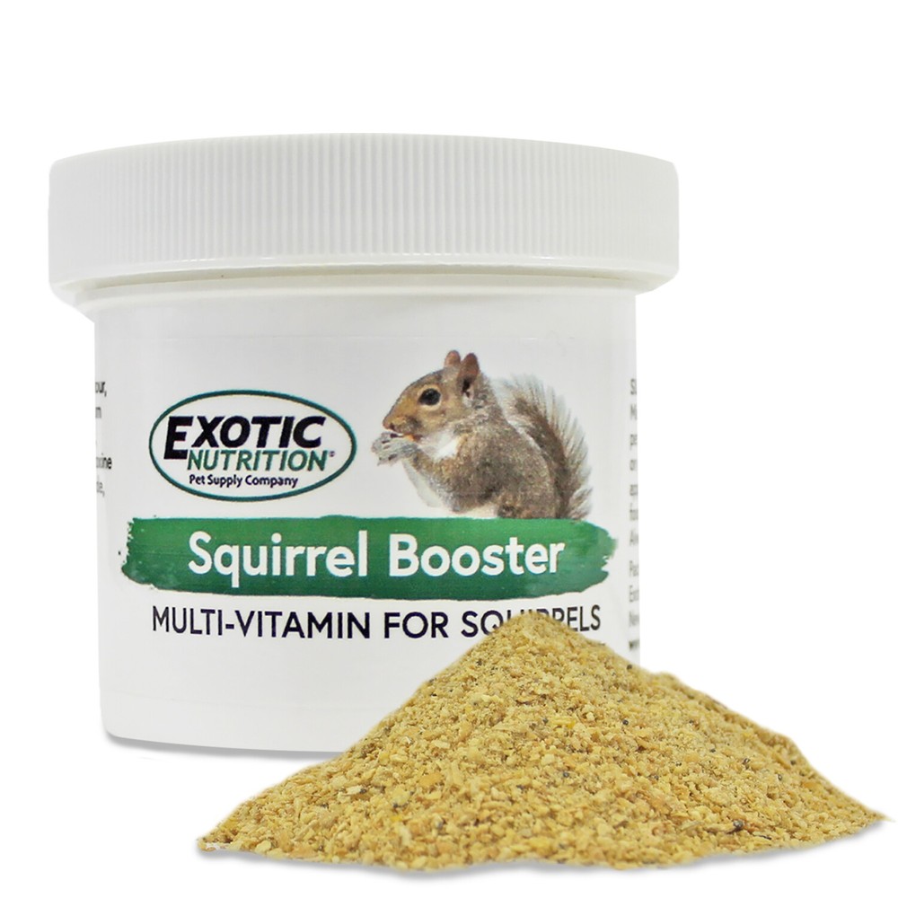 Squirrel Food Starter Package