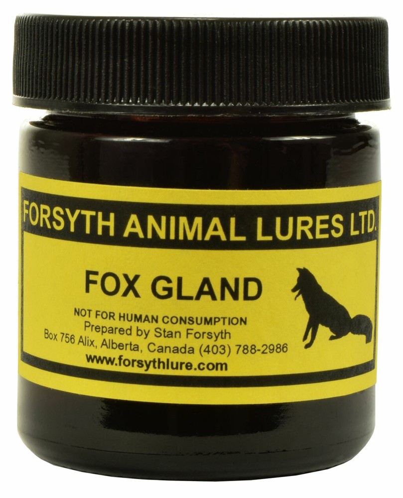 Forsyth Fox Gland Lure 50ML (1.7oz)