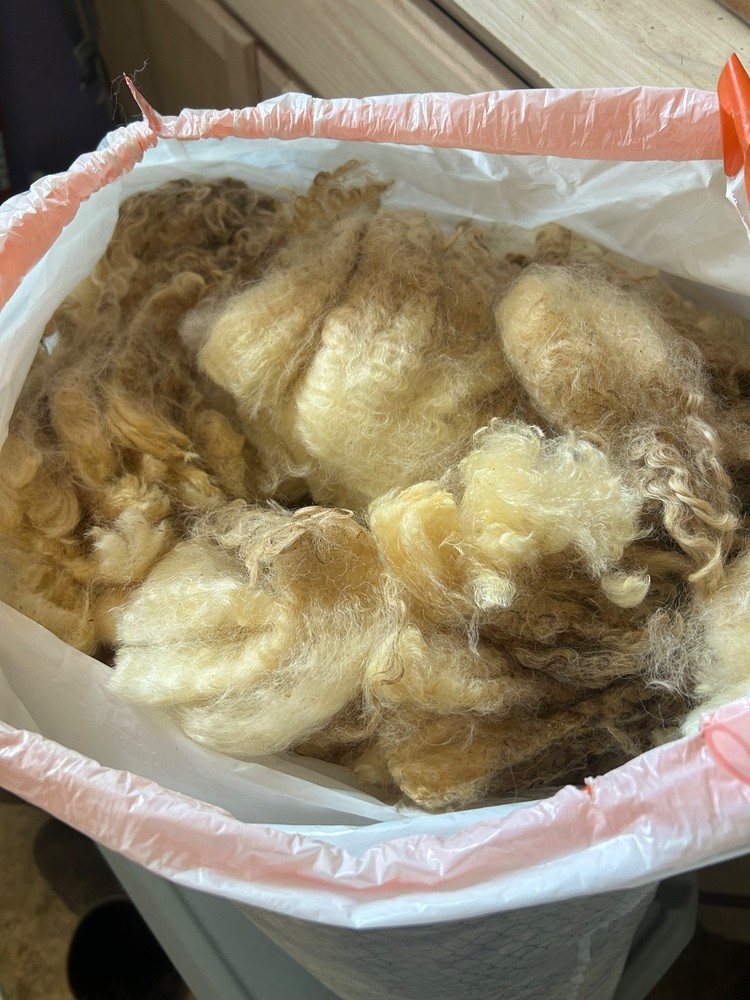 Cotswold fleece, raw wool