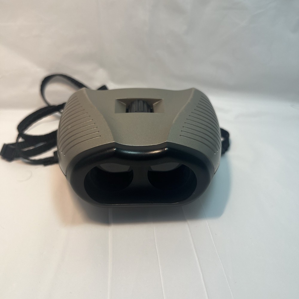 Panaview binoculars 6 X 20mm field 7° silver with strap