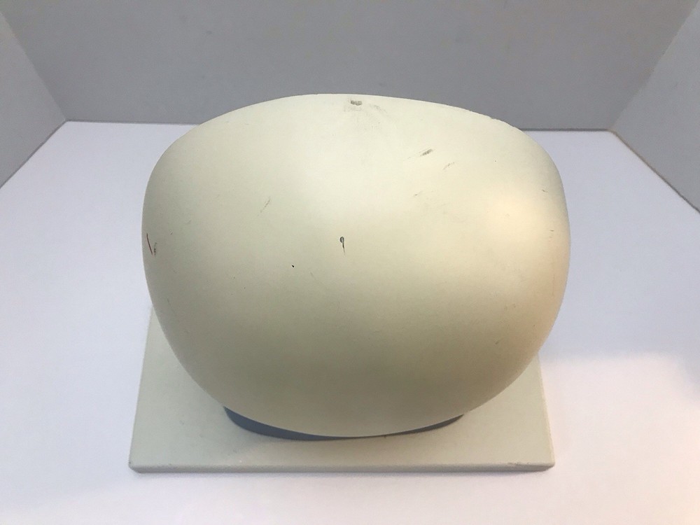 Eisco Labs Plant Cell Model Electron Microscope Structure Science Display Class