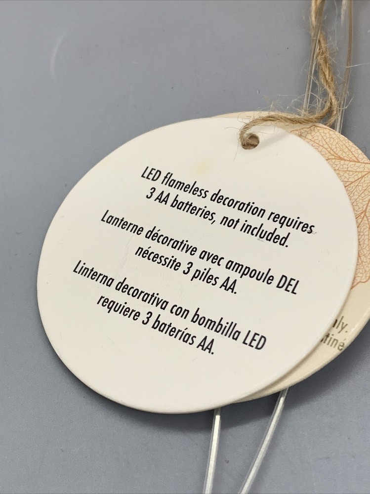 Home Essentials Harvest Large Leaf LED Globe in Rust/Copper