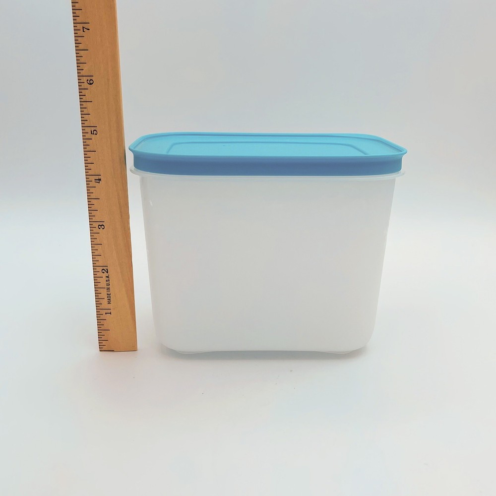 2 Plastic Tupperware Container for Freezer 450ml & 1.1 L Blue Covers