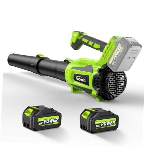 Leaf Blower Cordless, 580CFM Lightweight & Powerful Electric Handheld with 5+1
