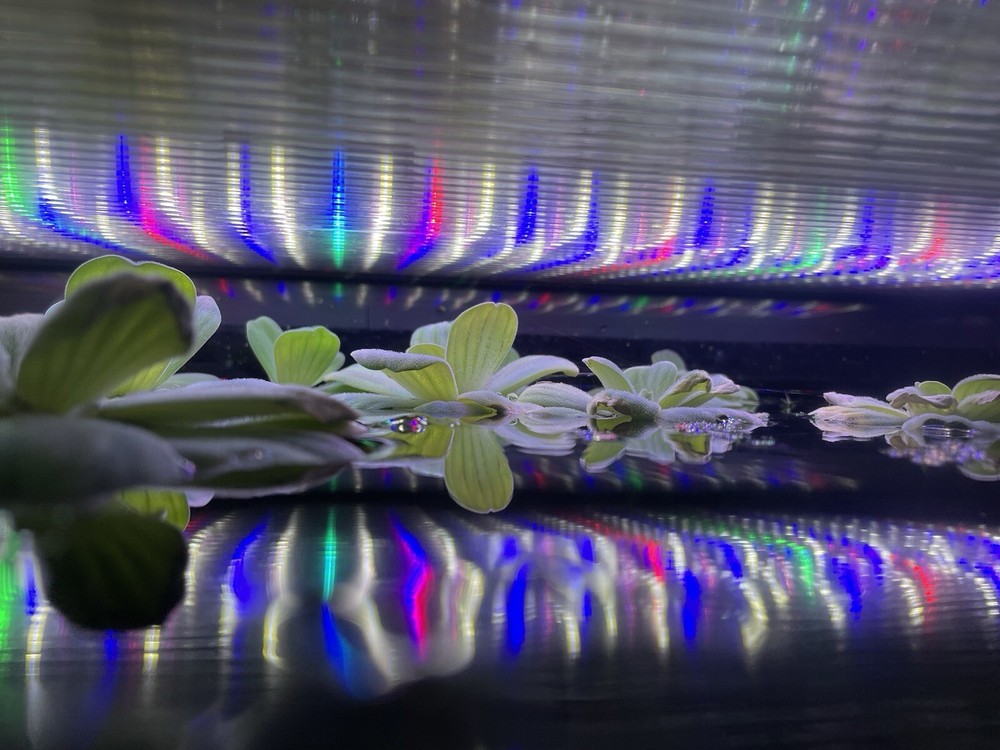 Aquarium Lid Polycarbonate Twin Wall 20 Gallon