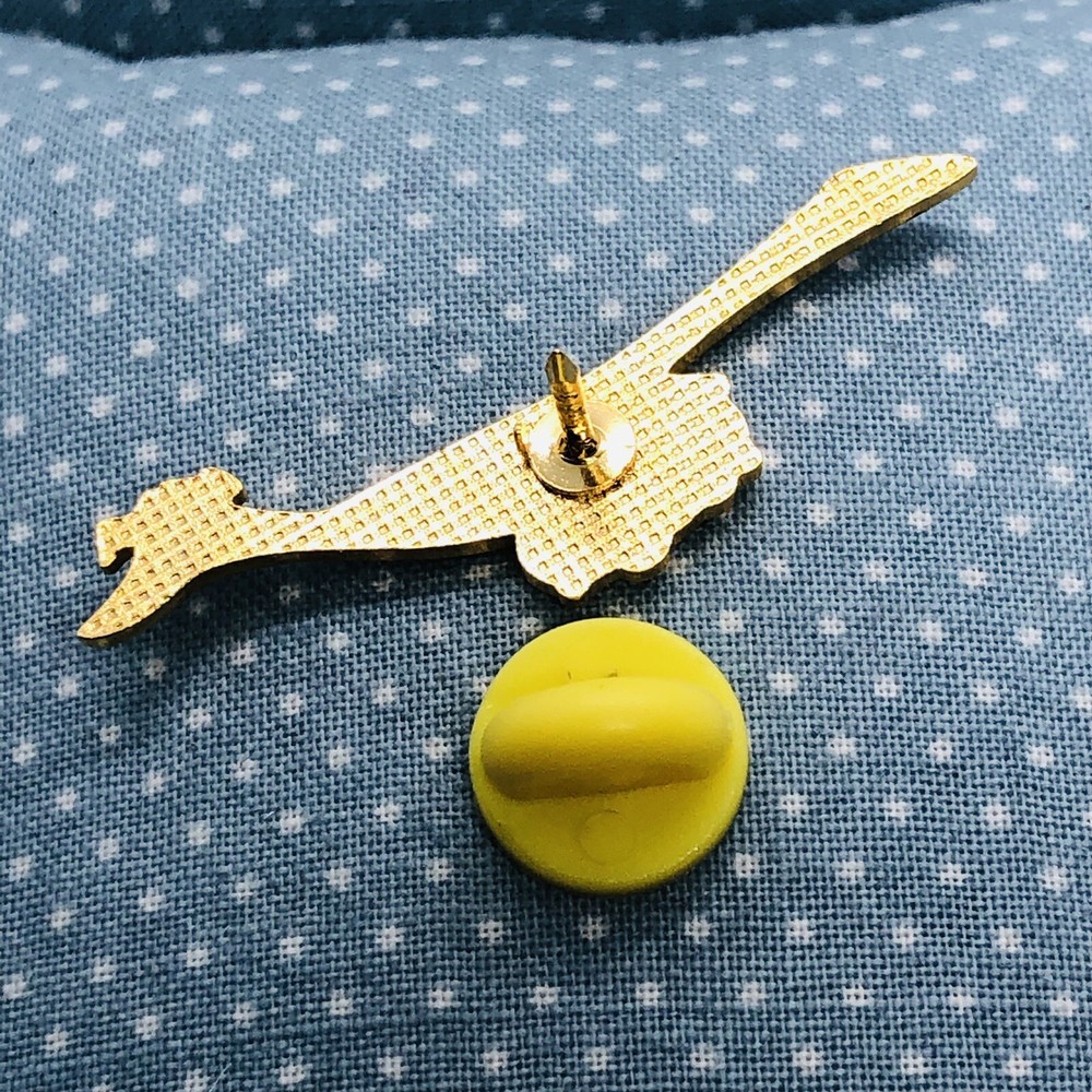 Arizona Roadrunner State Bird Pin Pin-back