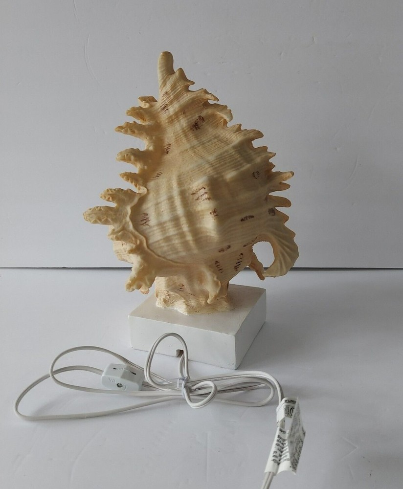 Cracker Barrel Shell Accent Light Standard 120 V Wall Outlet