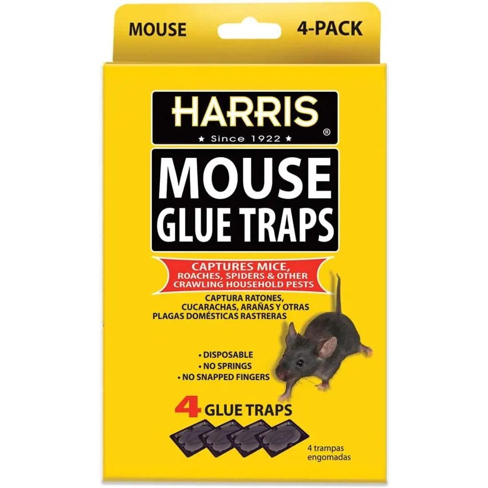 Harris Pre-Baited Mouse Glue Traps, Fully Disposable 4-Pack
