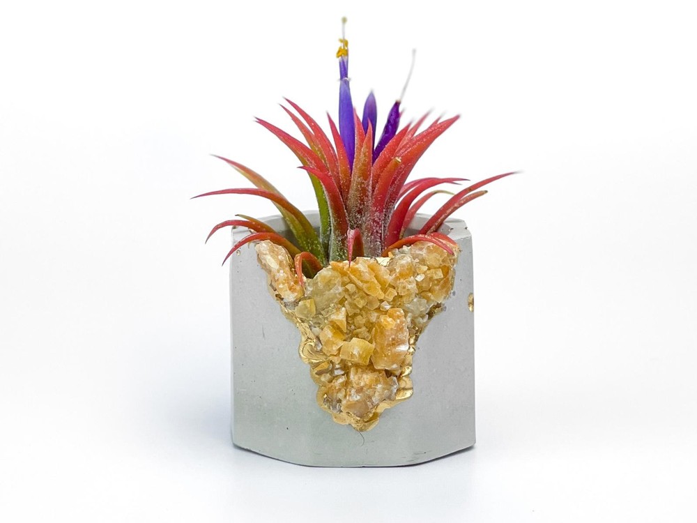 Raw Orange Calcite Crystal Planter Geode Planter Mini cute