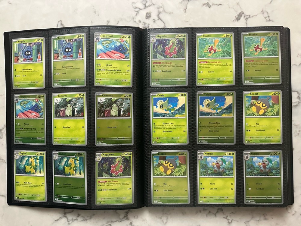 Mega Evolutions - Complete Base Set - C,U,R,RR and Reverses - With Binder