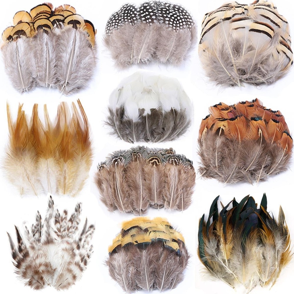 200PCS Natural Assorted Feathers 10 Styles for Dreamcatcher Crafts Decorations
