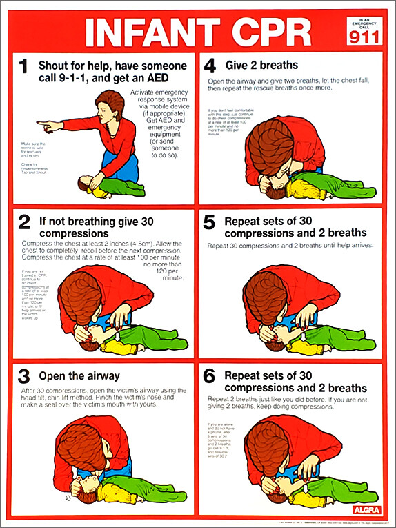 Infant CPR FIRST AID Instructional Wall Chart 18x24 POSTER (ARC-AHA Guidelines)
