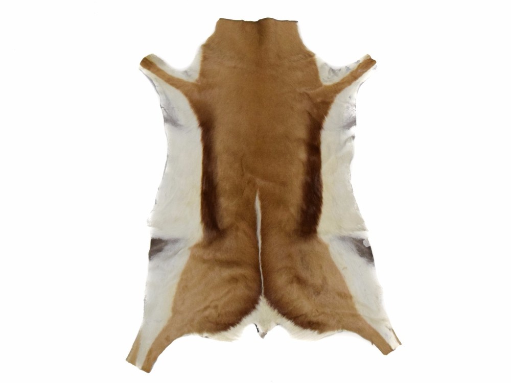 Natural Springbok Hide (155-1-AS) Y1E